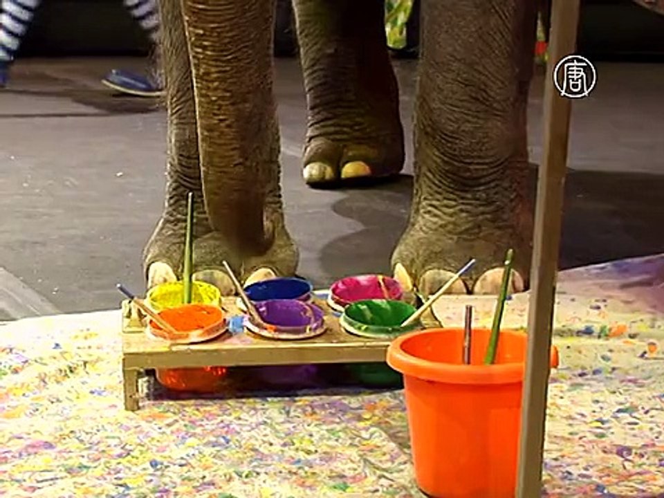 Американский цирк откажется от слонов в своих шоу