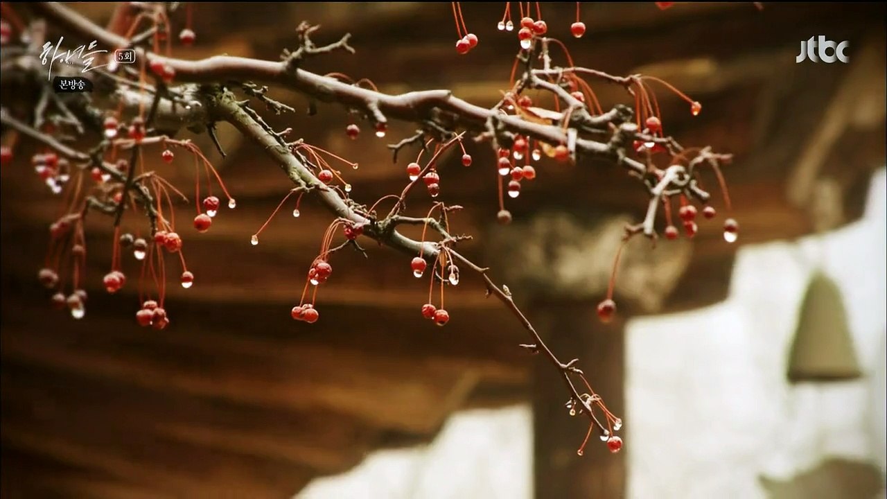 Miids.E05.AF_1