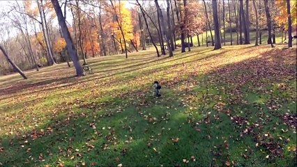 ARRMA Kraton Durability Testing