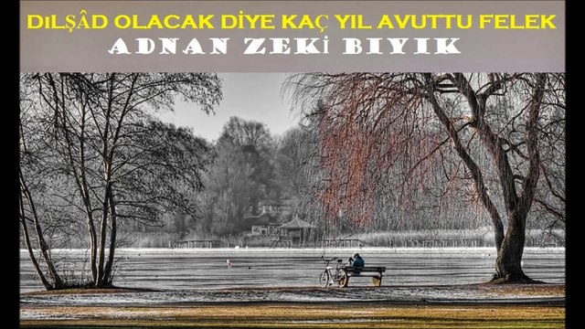 Dilşad Olacak Diye-Adnan Zeki Bıyık (Müzisyen Müftü)