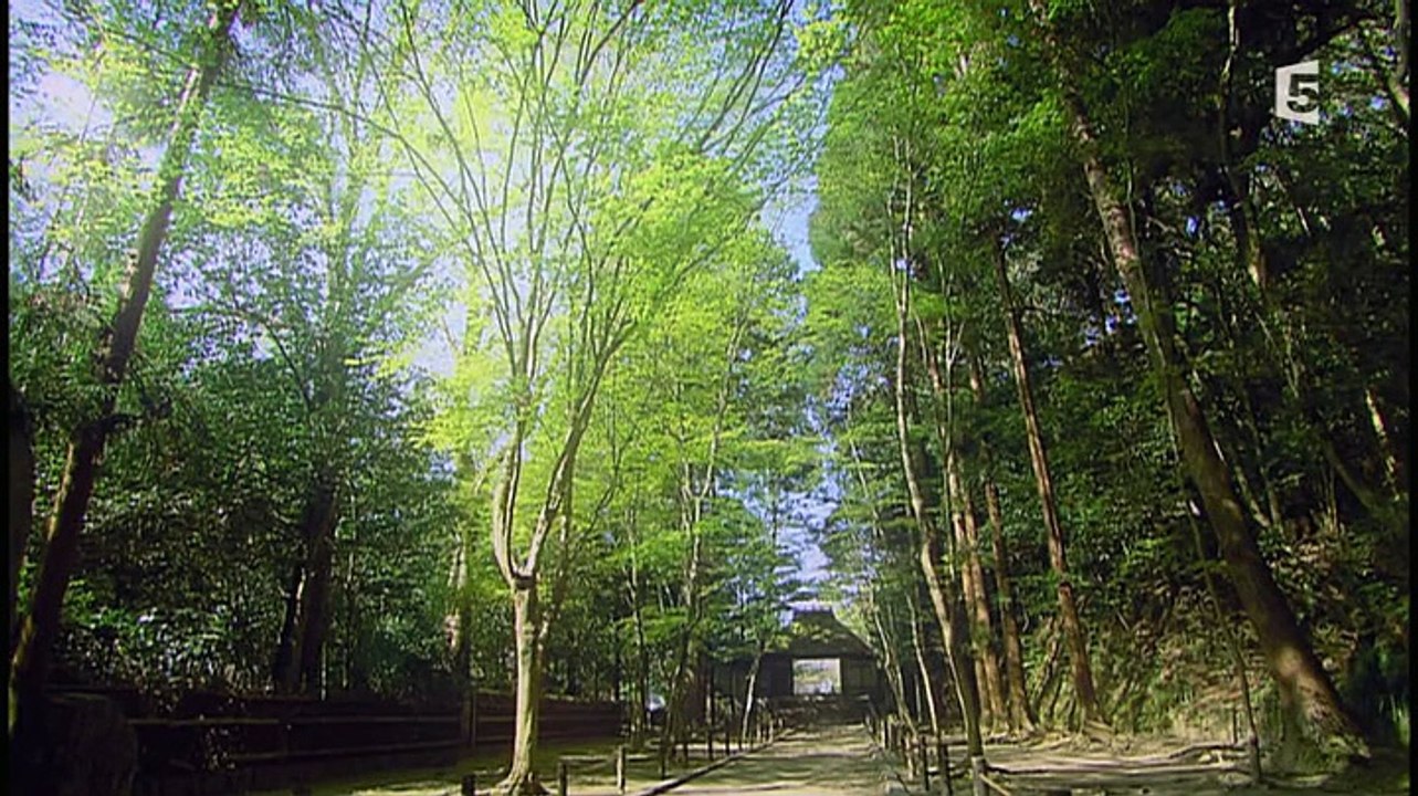 Nature Zen - Dok