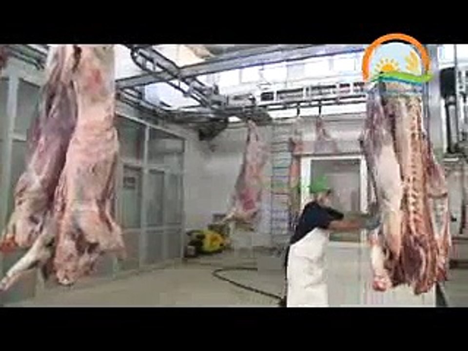 MEZBAHALARDA ET KONTROLÜNÜN İNSAN SAĞLIĞI AÇISINDAN ÖNEMİ