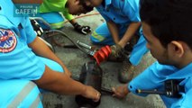 L'incroyable sauvetage d'un chiot de 2 mois coincé dans un tuyau en Thaïlande