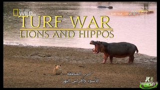 HD720p فيلم وثائقي حرب المنطقه (الاسود وافراس النهر) مترجم