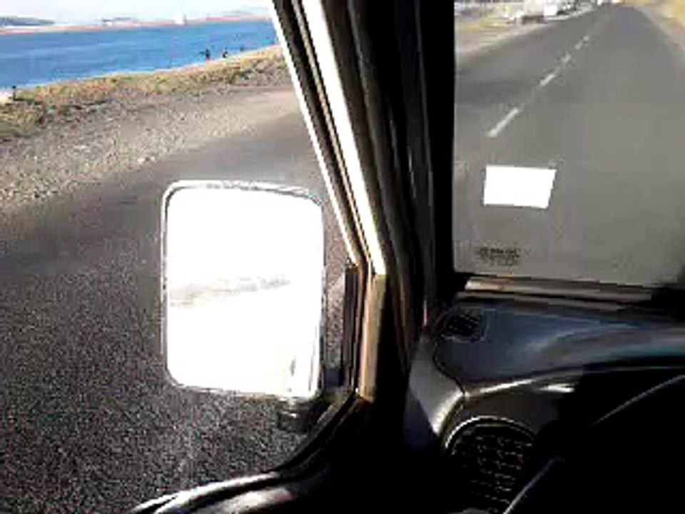 Mira cómo este perro ayuda empujando la silla de ruedas de su dueña