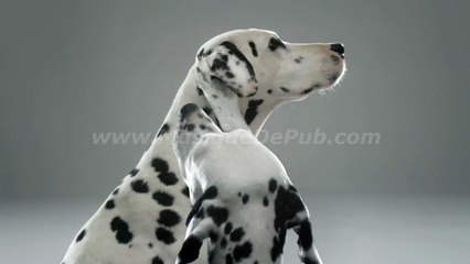 pub La Roche-Posay 'skin checker' 2015 [HQ]