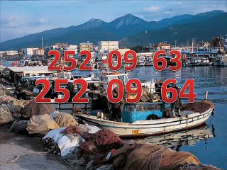 güzelbahçe mıtsubıshı servisi 252 09 **