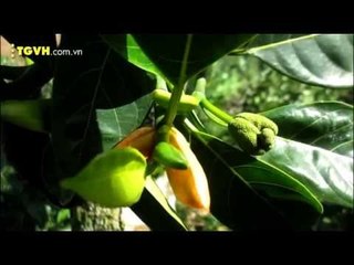 3, 2, 1 Action - Phim ngắn Mảnh ghép - Giấc mơ