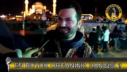 En Büyük Organınız Hangisidir
