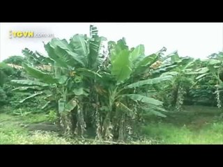 3, 2, 1 Action -- Phim ngắn pow mang (Nằm mơ) -- Knifeomaty