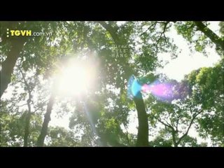 3, 2, 1 Action − Phim ngắn Hai nửa Sài Gòn − CHO Production