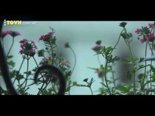 3, 2, 1 Action -- Phim ngắn Cửa sổ -- Nature