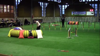 Kiwi 1.&2. WM Qualifikation 21./22.03.2015 Biesbesheim