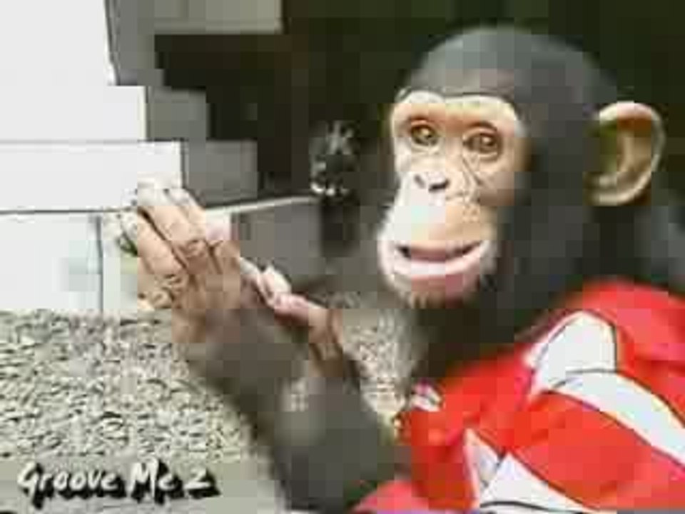 1987 Michael and Bubbles MOONWALK video Dailymotion