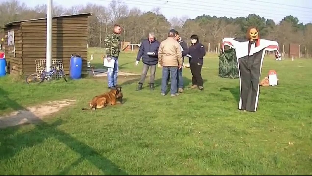 Gadjo du Domaine de Vauroux, Mondioring 1, Merignac 2015