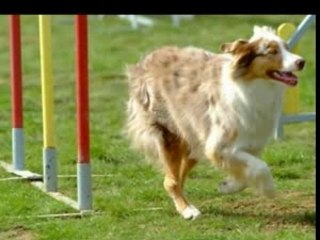 taïlee la cote bleue