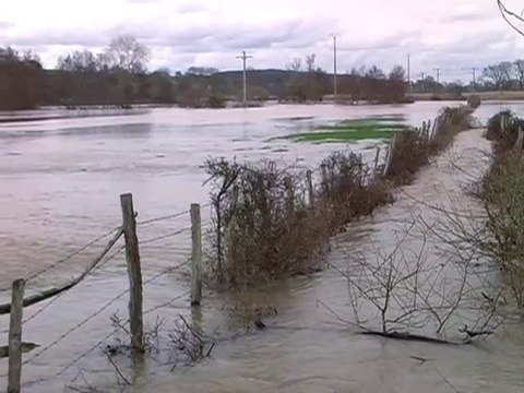 Das Sternzeichen Wassermann und seine Entsprechungen in Natur- und Menschenwelten
