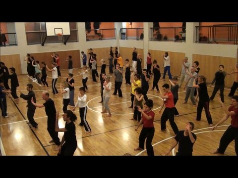STAGE DE TAICHI QIGONG octobre 2014 - ECOLE DU TIGRE VOLANT