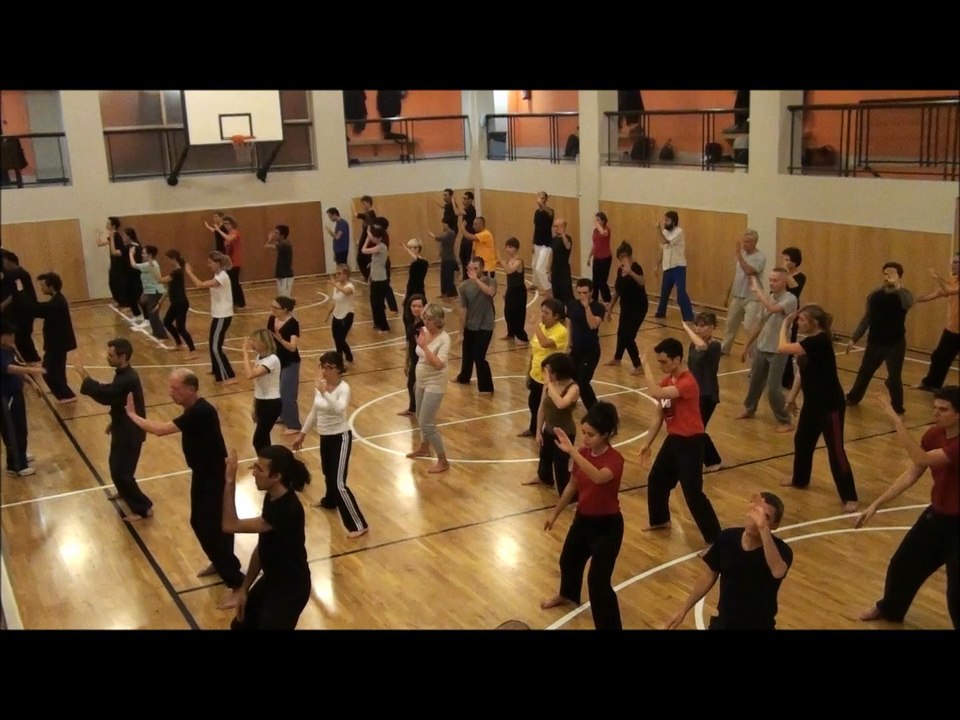 STAGE DE TAICHI QIGONG octobre 2014 - ECOLE DU TIGRE VOLANT