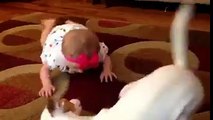 Cute Baby & Cute Dogy - Fun 4 Everyone