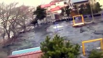 During Japan Tsunami a strange creature was caught on camera - real footage