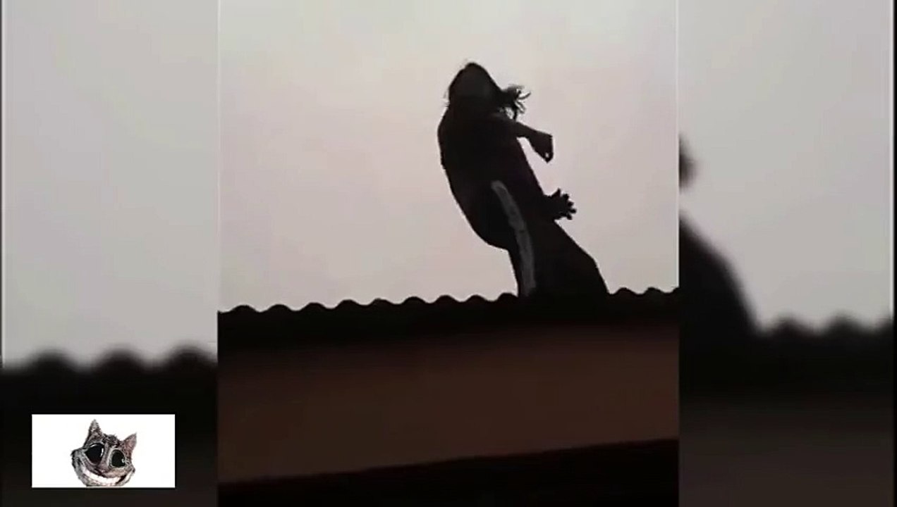 EPIC GIRLS FAIL COMPILATION- AUGUST 2014!_7