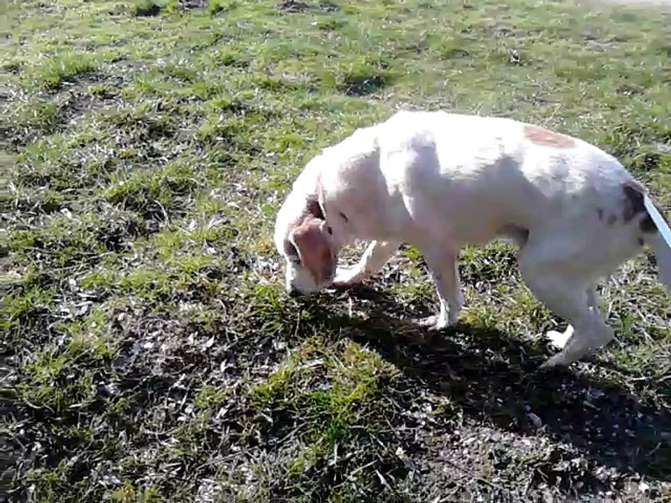 Arrivée Max