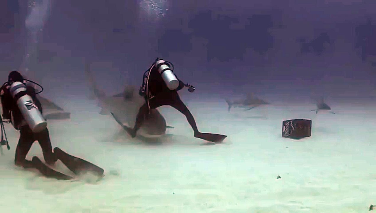 the luckiest people compilation part 14_12