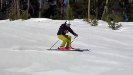 Harald Harb Free Skiing