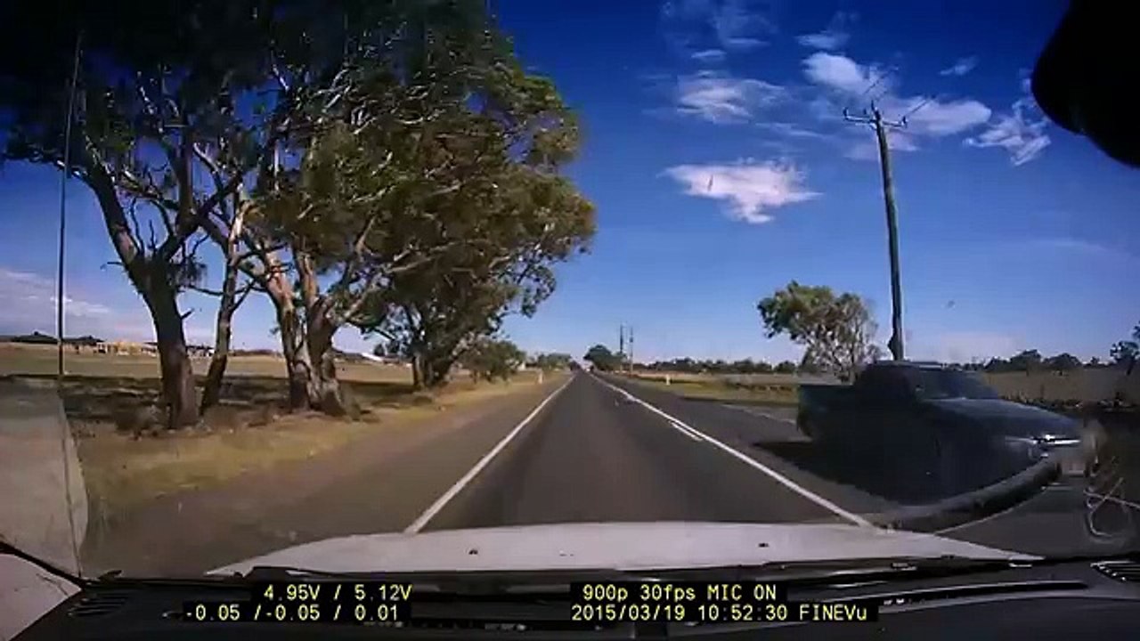 Traversée d'animaux en Australie