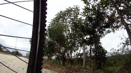 Mtb, 42 km, Grande pedal nas trilhas do Maracaibo, Serrinha, Taubaté, Tremembé, Várzea, na lama e estradas rurais, Marcelo Ambrogi e amigos bikers, Taubaté, SP, Brasil, (37)