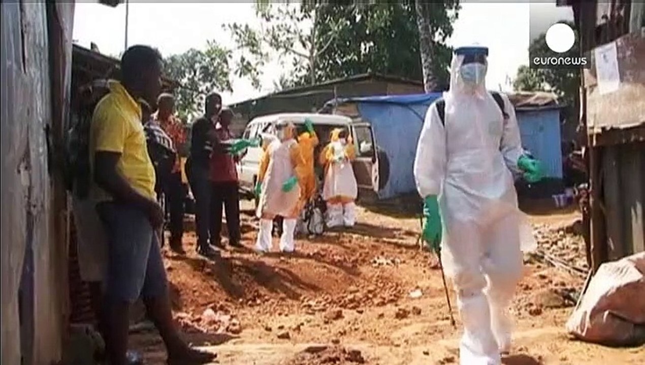 Ebola : 10 200 morts en un an, MSF critique l'OMS