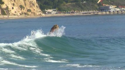 Jack Tenney Professional SkimBoarding Mini Movie (Jack 10e Skims His Apex)