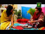 Behnein Aisi Bhi Hoti Hain Episode 195 Full on Ary Zindagi