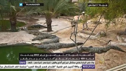 جولة في بحيرة التماسيح ,,جربة..تونس