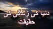 [Best] Duniya ki zindagi ki haqeeqat-Maulana Tariq Jameel