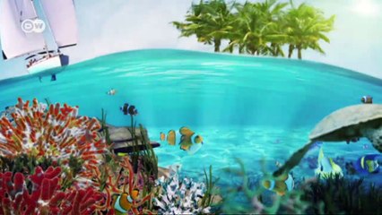 Conservation in the Gulf of California | Global 3000