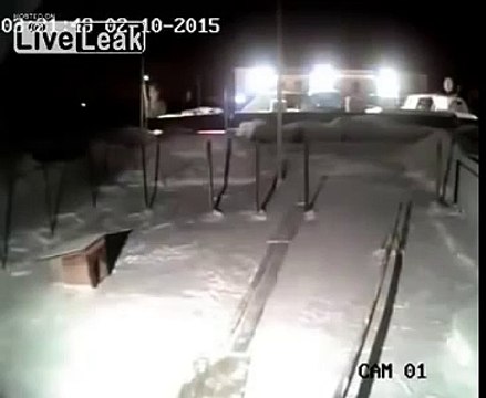 Голодный волк нападает на собаку (Hungry wolf attacks dog)