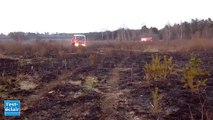 Camp de Mailly : 20  hectares de friches partent en fumée