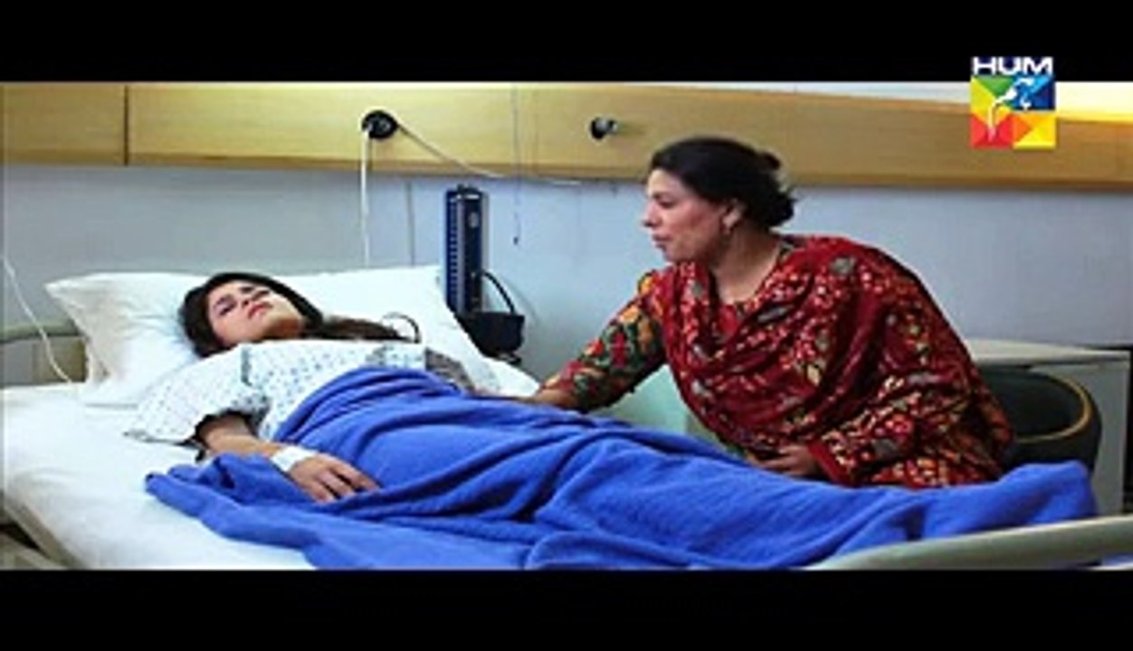 Aik Pal Full Episode 18 on Hum Tv - 23rd March 2015 Drama