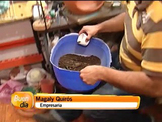 Pareja encontró en los minijardines una forma de salir adelante