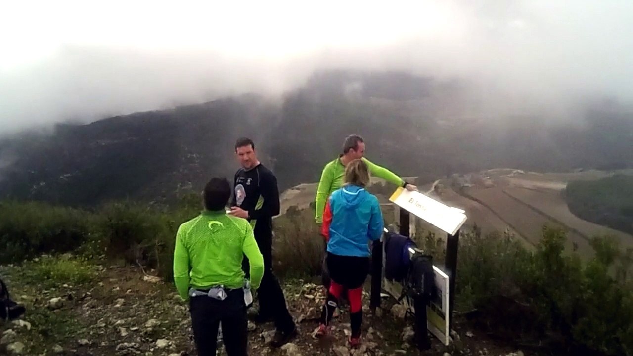 Gorilas enla Niebla