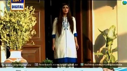Dusri Biwi Episode 17 - 23rd March 2015