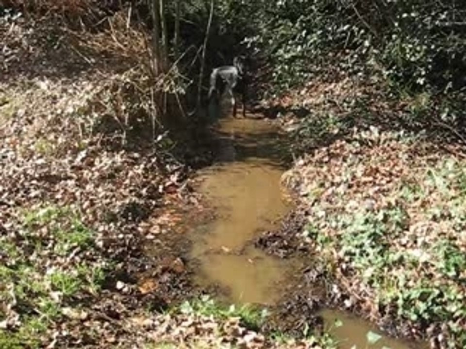 Eau