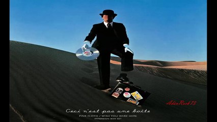 Pink Floyd - Wish You Were Here (With Stephane Grappelli)
