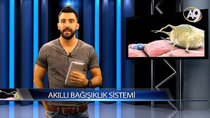 Bilgi Küpü: Akıllı Savunma Sistemi
