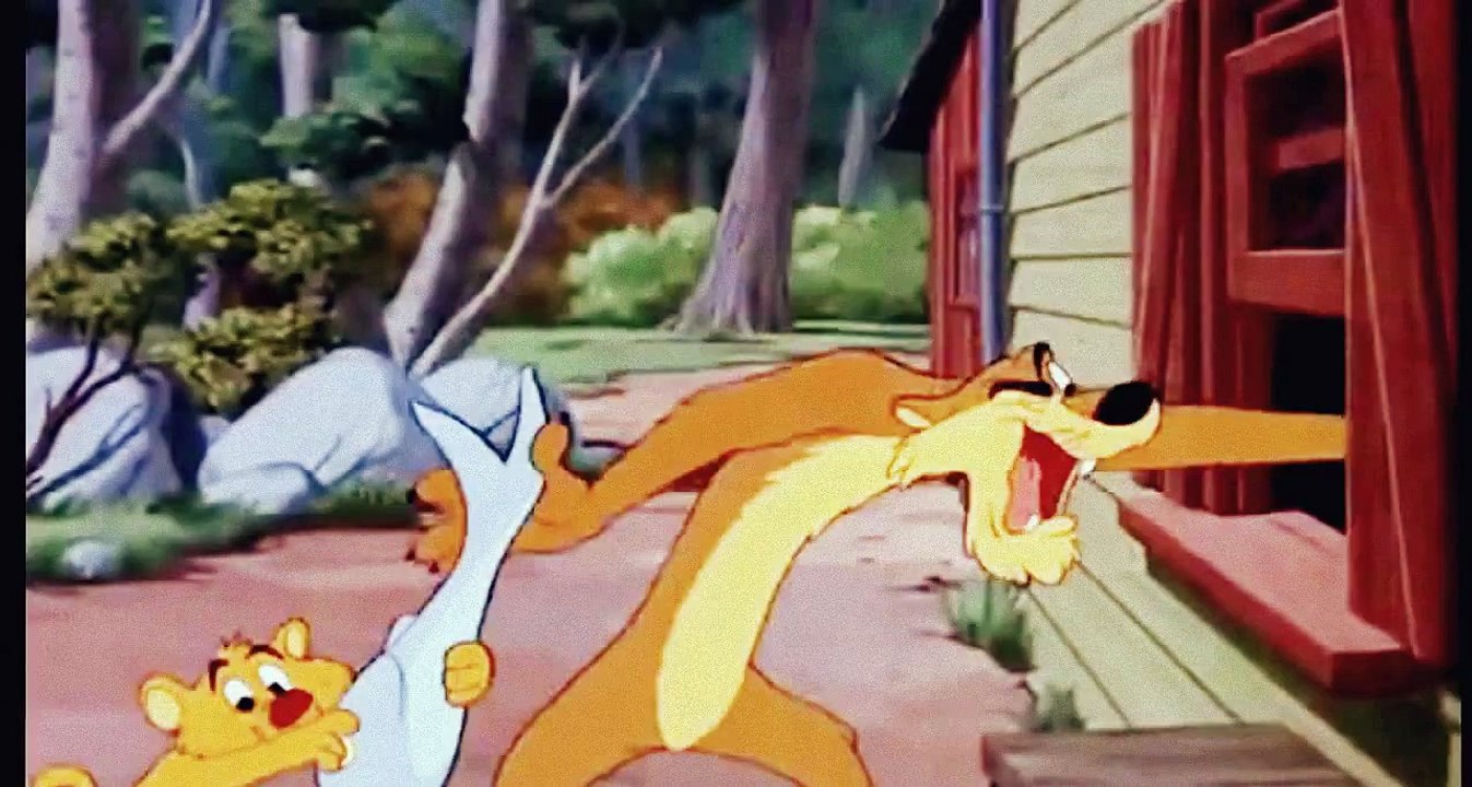 Funny cartoons for children - Special Selection of Classic Disney Hunting Cartoons- Full Disney