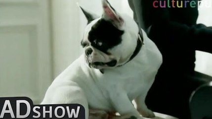 Dog’s tail enhancement
