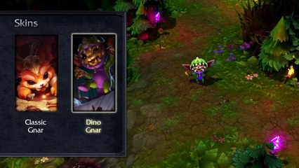 Gnar Champion Spotlight