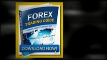 Forex Replicator - Replicating The Past To Predict The Future